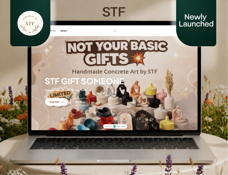 STF portfolio preview