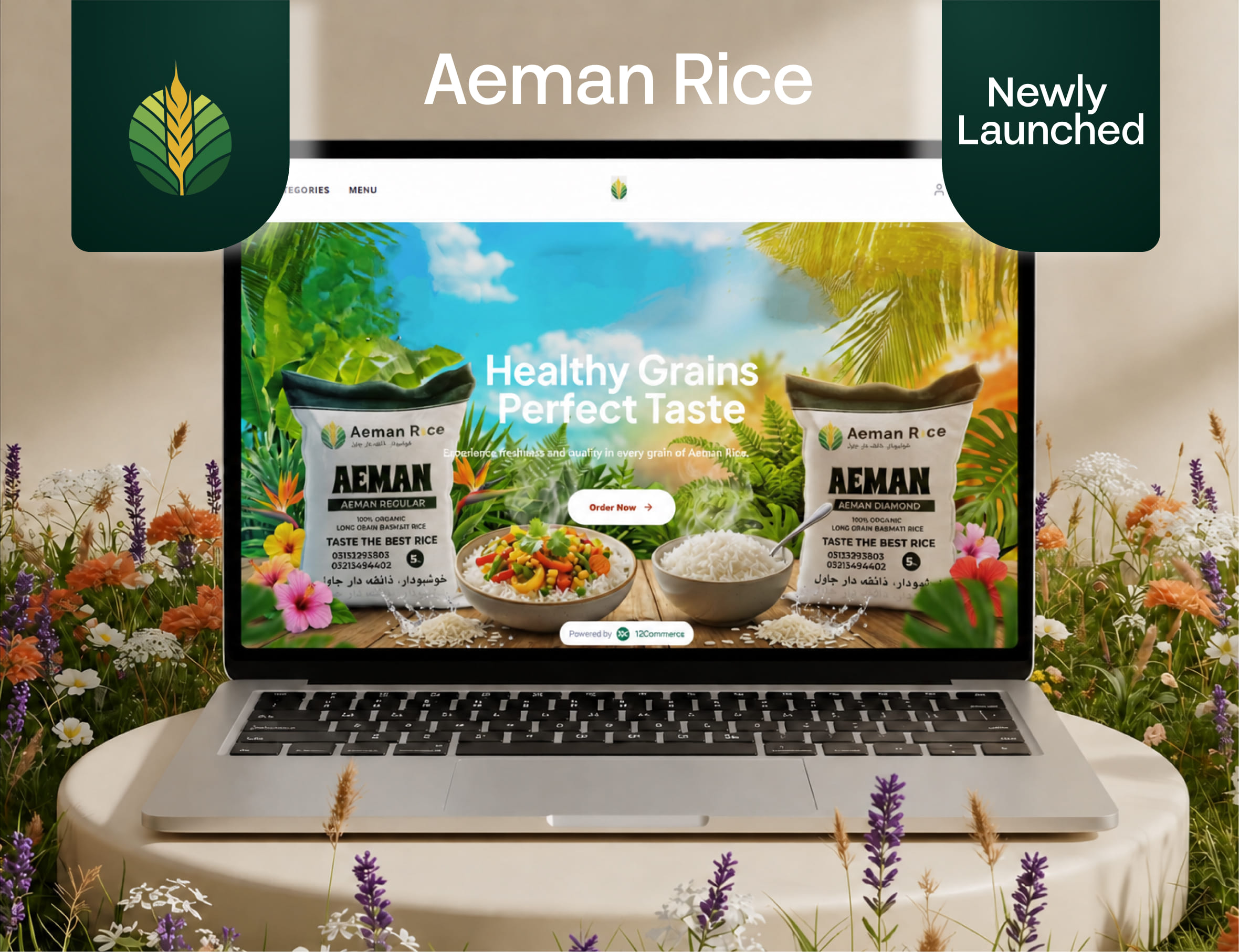 Aeman Rice portfolio preview